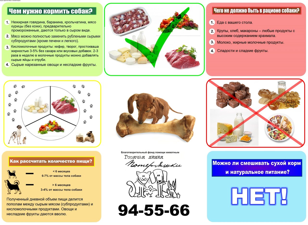 Как часто есть мясо. Схема натурального кормления собак. Рацион питания для щенка натуралкой. Рацион собаки при натуральном кормлении. Натуральное питание для собак таблица.